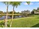 Picture perfect backyard with mature palm trees, green grass and relaxing pond view at 12019 Sawgrass Lake Ter, Bradenton, FL 34211