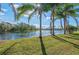 Tranquil waterfront view of a pond, lined with mature palm trees on the verdant backyard at 14730 1St E Ave, Bradenton, FL 34212