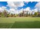 The backyard features a luscious lawn and mature trees, creating a private oasis at 14803 Derna Ter, Bradenton, FL 34211