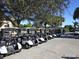 Numerous golf carts parked under trees provide convenient community transportation at 375 Fairway Isles Ln, Bradenton, FL 34212