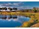 Picturesque golf course featuring a pond, green, and native grasses along the water's edge at 375 Fairway Isles Ln, Bradenton, FL 34212