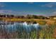 Scenic golf course view of the pond surrounded by lush vegetation and a blue sky at 375 Fairway Isles Ln, Bradenton, FL 34212