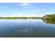Serene water view highlighting the tranquility of the waterfront with lush green vegetation under a bright sky at 2812 Casey Key Rd, Nokomis, FL 34275