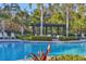 Enjoy the pool with its beautiful landscaping, lounge chairs, and a relaxing pergola at 6634 Calypso Coral Ln, Sarasota, FL 34240