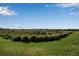 Expansive backyard with lush green grass and native landscaping creating a private oasis at 8541 Coastal Palms Gln, Parrish, FL 34219