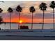 Beautiful sunset view with palm trees over the water at 16119 Fortezza Dr, Bradenton, FL 34211
