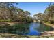 Scenic view of the community pond surrounded by mature trees and lush greenery at 2630 Moss Oak Dr # 50, Sarasota, FL 34231