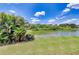 Picturesque lake view with vibrant green vegetation, showcasing the natural beauty and tranquility of the property at 5974 San Michelle Dr, Sarasota, FL 34243