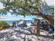 Scenic waterfront dining with a wooden pier and tables under a large tree at a restaurant at 691 Linley St, Longboat Key, FL 34228