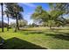 Expansive backyard with lush green lawn and mature trees, offering serene outdoor space at 7860 Palm Aire Ln # 104, Sarasota, FL 34243