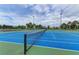 Outdoor tennis courts with professional surfaces and lighting, ideal for daytime and nighttime play at 9828 58Th E St, Parrish, FL 34219