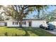 Charming single-story home with a well-manicured lawn, mature trees, and inviting curb appeal at 2312 Java Plum Ave, Sarasota, FL 34232