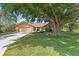 Charming single-story home with a lush green lawn and mature shade tree covering part of the house at 3970 Country View Dr, Sarasota, FL 34233