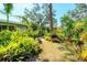 Pathway through a backyard with many tropical trees and native landscaping at 4062 S Shade Ave, Sarasota, FL 34231