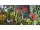 Tropical backyard garden featuring various plants and bromeliads and garden seating at 4062 S Shade Ave, Sarasota, FL 34231