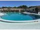 Inviting community pool with clear blue water, surrounding greenery, and lounge chairs at 425 30Th W Ave # C210, Bradenton, FL 34205
