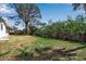 Expansive backyard featuring lush green grass, privacy fence, and mature trees at 927 Lemon Bay Dr, Venice, FL 34293