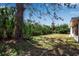Lush green backyard with mature landscaping and shade from a large tree at 927 Lemon Bay Dr, Venice, FL 34293
