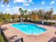 Large community pool with lots of seating, palm trees, and ample sunshine at 8811 White Sage Loop # 8811, Lakewood Ranch, FL 34202