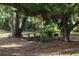 Wooden pathway through lush, natural landscaping at 16461 Chicopee Ave, Port Charlotte, FL 33954