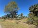 Vacant lot with mature trees and a partially cleared area at 17352 Terry Ave, Port Charlotte, FL 33948