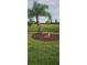 Landscaped backyard with palm trees and decorative elements at 22580 Bolanos Ct, Port Charlotte, FL 33952