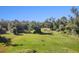 Vacant land with lush vegetation and potential for development at 1507 Lavilla Rd, Punta Gorda, FL 33950
