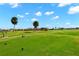 Landscaped golf course with palm trees and fairways at 1736 Suzi St, Punta Gorda, FL 33950