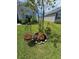 Landscaped front yard with colorful flowers and well-maintained lawn at 2201 Grand Flora Trl, Bradenton, FL 34208