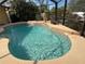 Inviting kidney-shaped pool with a screened enclosure and tranquil ambiance at 3100 Sheboygan Ave, North Port, FL 34286