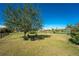 Spacious backyard with large tree and seating area at 386 Royal Poinciana, Punta Gorda, FL 33955