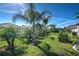 Mature palm trees and lush landscaping line the backyard at 2108 La Palma Ave, Port Charlotte, FL 33953