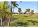 Landscaped backyard with lush lawn and palm trees at 3937 Bal Harbor Blvd, Punta Gorda, FL 33950