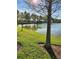 Peaceful lake view with tree and grassy shoreline at 8773 Tuscany Isles Dr, Punta Gorda, FL 33950