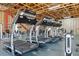 Modern fitness center with treadmills and weight equipment at 98 Vivante Blvd # 98317, Punta Gorda, FL 33950