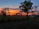 Peaceful backyard view at sunset, showcasing serene landscape at 16039 Quinta Dr, Punta Gorda, FL 33955