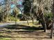 Lush, tree-lined community road with grassy areas at 23465 Harborview Rd # 1006, Punta Gorda, FL 33980