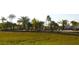 Landscaped area with palm trees at 5298 Palena Blvd, North Port, FL 34287