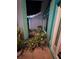 Well-lit entryway with potted plants and teal walls at 1281 Nebraska Ln, North Port, FL 34286