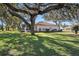 Backyard with large oak tree and screened patio at 10810 Cedar Breaks Dr, Port Richey, FL 34668