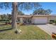 Single-story house exterior, featuring a well-maintained lawn and mature trees at 10810 Cedar Breaks Dr, Port Richey, FL 34668