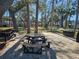 Community picnic area with tables and grills at 2290 Aaron St # 302, Port Charlotte, FL 33952