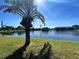 Scenic view of a lake with palm trees at 4008 Oakview Dr # K3, Punta Gorda, FL 33980