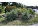 Attractive landscaping with yuccas at 4008 Oakview Dr # K3, Punta Gorda, FL 33980