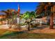 Landscaped front yard with palm trees and exterior lighting at night at 7424 S Moss Rose, Punta Gorda, FL 33955