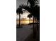 Beach sunset view with palm trees and people enjoying the view at 2812 Cabaret St, Port Charlotte, FL 33948