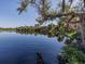 Serene lake view with lush greenery and a small dock at 3341 Briant St, North Port, FL 34287