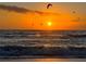 Stunning sunset over the ocean with birds in flight at 805 Manchester Ct, Englewood, FL 34223