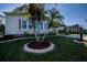 Landscaped front yard with palm trees and manicured lawn at 805 Manchester Ct, Englewood, FL 34223