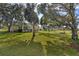 View of a large backyard with lush grass and mature trees at 13366 Bronze Ave, Port Charlotte, FL 33981